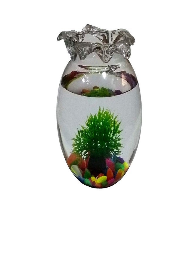 ABG ROUND GLASS TERRARIUM/AQUARIUM VESSEL. ONE UNIT WITH COLORFUL STONES, ONE ARTIFICIAL PLANT AND TWO ARTIFICIAL FISH. 6 INCH - Image 4